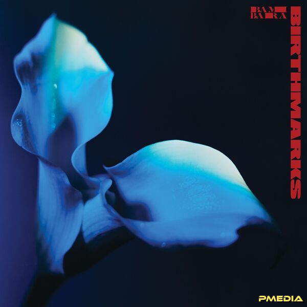 Bambara [2025 Birthmarks] (FLAC 24Bit-96kHz)