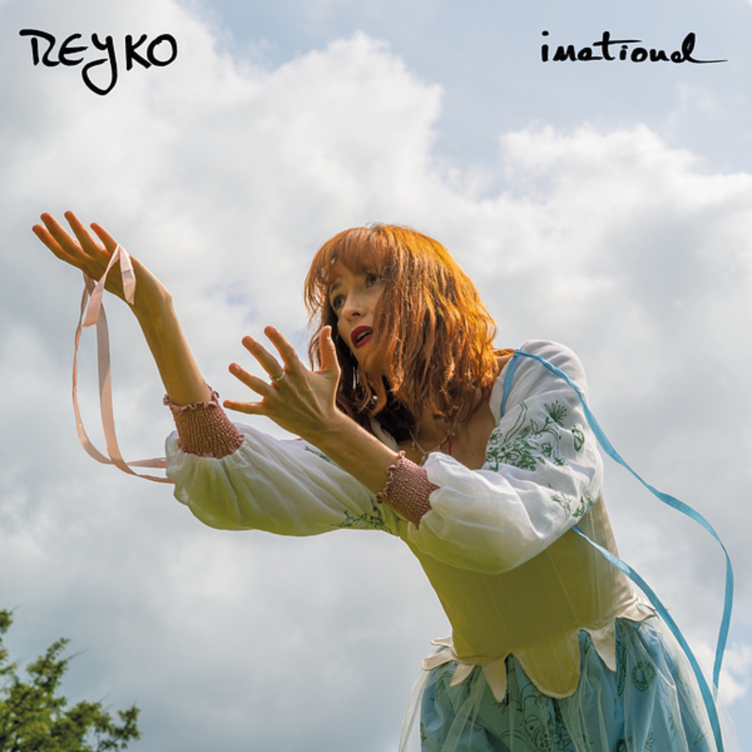 Reyko [2025 Irrational] (FLAC 24Bit-44kHz)