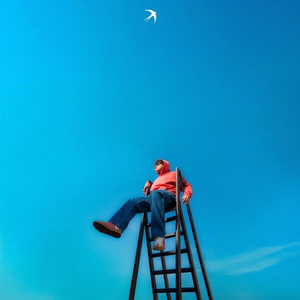 Rondine [2025 Rondine] (FLAC 24Bit-44kHz)