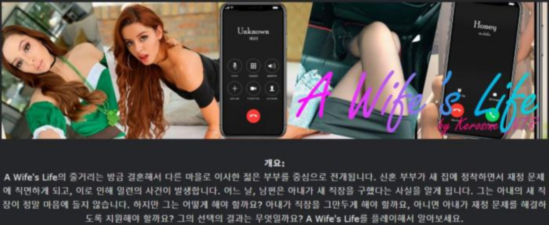 [한글.렌파이.남주.실사.업뎃.완결]A Wife s Life 1.0.0[04.08].zip