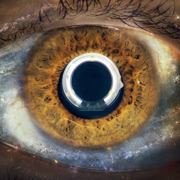 I Cani [2016 Aurora] (FLAC 16Bit-44kHz)