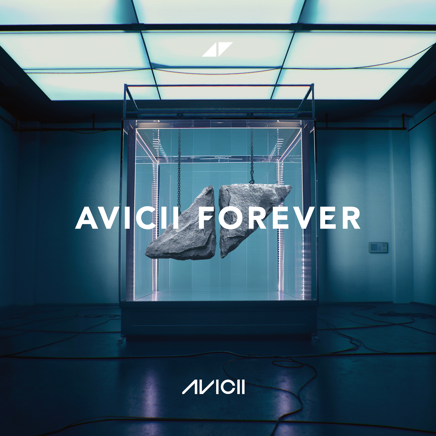 Avicii [2025 Avicii Forever] (FLAC Hi-Res 24bit)