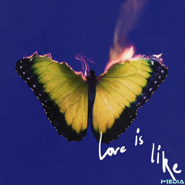 Maroon 5 [2025 Love Is Like] (FLAC 24Bit-48kHz)