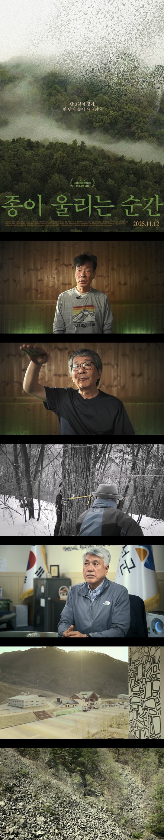 [종이 울리는 순간] HD 오랫동안 멈춰있던 가리왕산의 복원 첫걸음