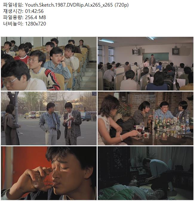 Youth.Sketch.1987.DVDRip.AI.x265_x265 (720p)