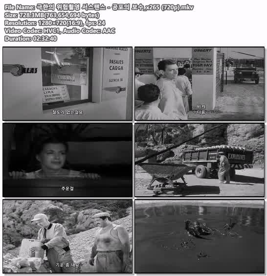 극한의 위험촬영 서스펜스 - 공포의 보수_x265 (720p)