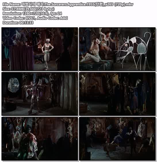 마법사의 제자.The.Sorcerers.Apprentice.1955(단편)_x265 (720p)