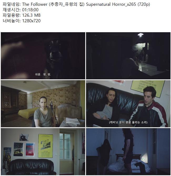 The Follower (추종자_유령의 집) Supernatural Horror_x265 (720p)