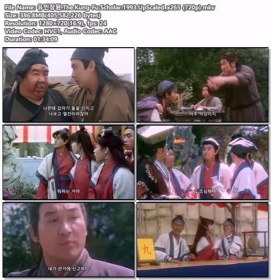 유민장원.The.Kung-Fu.Scholar.1993.UpScaled_x265 (720p)