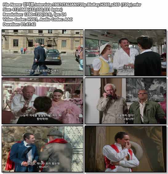 인터뷰.Intervista.1987.ITALIAN.720p.BluRay.H265_x265 (720p)