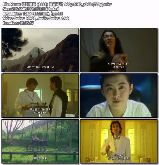천지현문 (1991) 한글자막 960p NHD_x265 (720p)