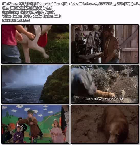 머나먼 여정 Homeward Bound,The Incredible Journey.1993.720p_x2..