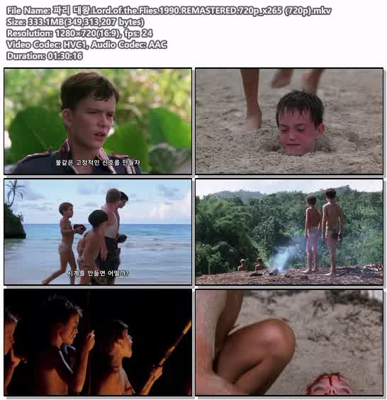 파리 대왕.Lord.of.the.Flies.1990.REMASTERED.720p_x265 (720p)