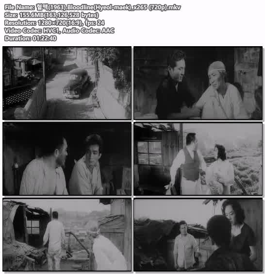 혈맥(1963).Bloodline(Hyeol-maek)_x265 (720p)