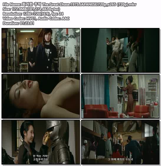 화려한 추적 The.Great.Chase.1975.JAPANESE.720p_x265 (720p)