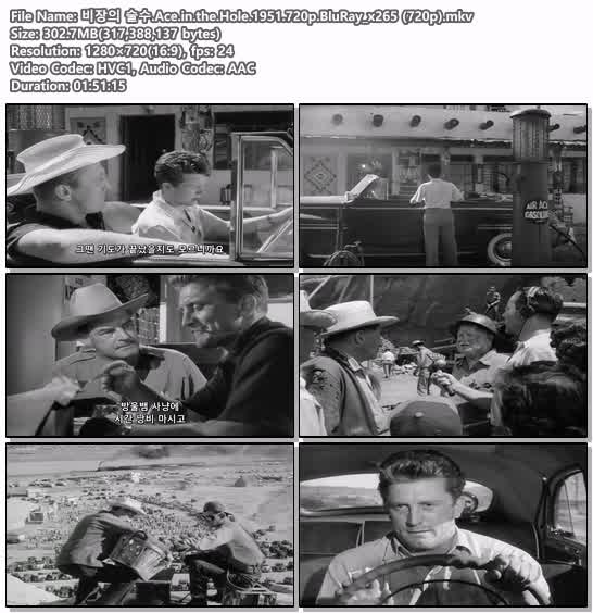 비장의 술수.Ace.in.the.Hole.1951.720p.BluRay_x265 (720p)