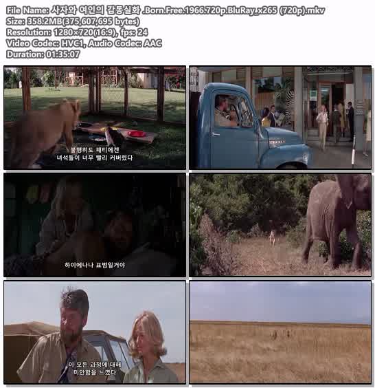 사자와 여인의 감동실화 .Born.Free.1966.720p.BluRay_x265 (720p)