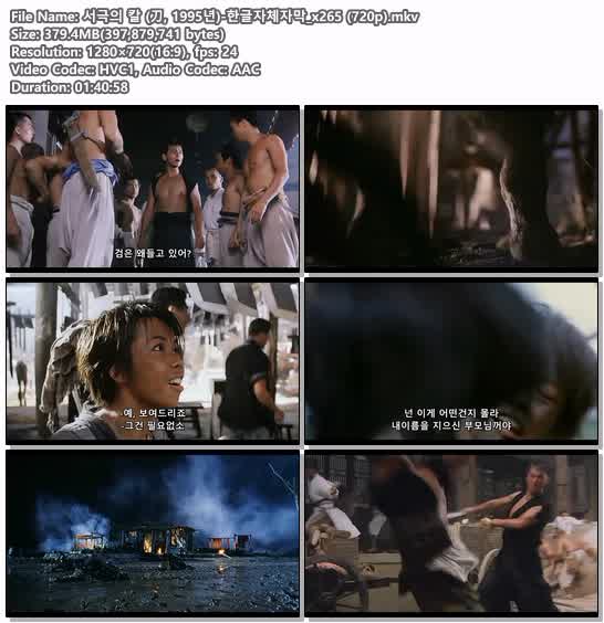 서극의 칼 (刀, 1995년)-한글자체자막_x265 (720p)