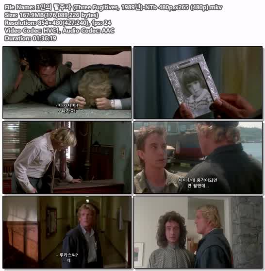 3인의 탈주자 (Three Fugitives, 1989년)-NTb 480p_x265 (480p)