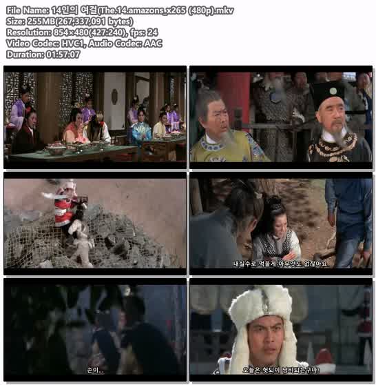 14인의 여걸(The.14.amazons_x265 (480p)