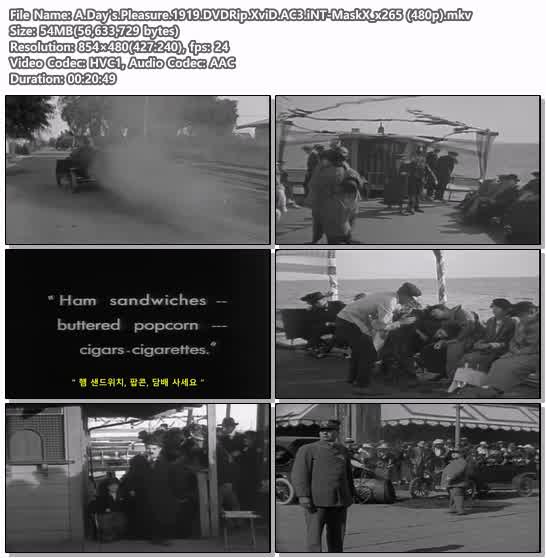 A.Day's.Pleasure.1919.DVDRip.XviD.AC3.iNT-MaskX_x265 (480p)