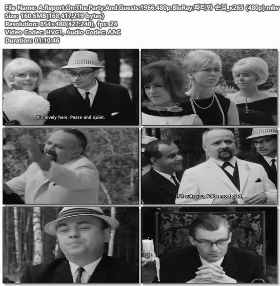 A.Report.On.The.Party.And.Guests.1966.480p.BluRay.파티와 손님_..