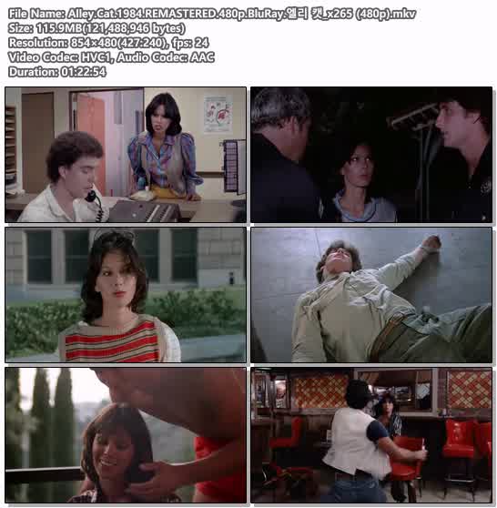 Alley.Cat.1984.REMASTERED.480p.BluRay.엘리 캣_x265 (480p)