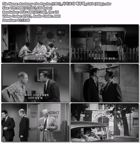 Anatomy of a Psycho.(1961)_사이코의 해부학_x265 (480p)