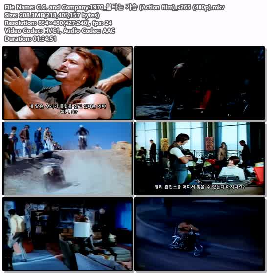 C.C. and Company.1970_불타는 가슴 (Action film)_x265 (480p)