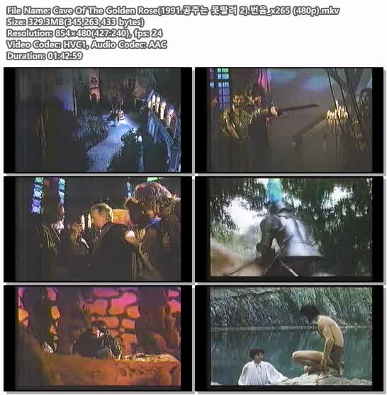 Cave Of The Golden Rose(1991.공주는 못말려 2).번음_x265 (480p)
