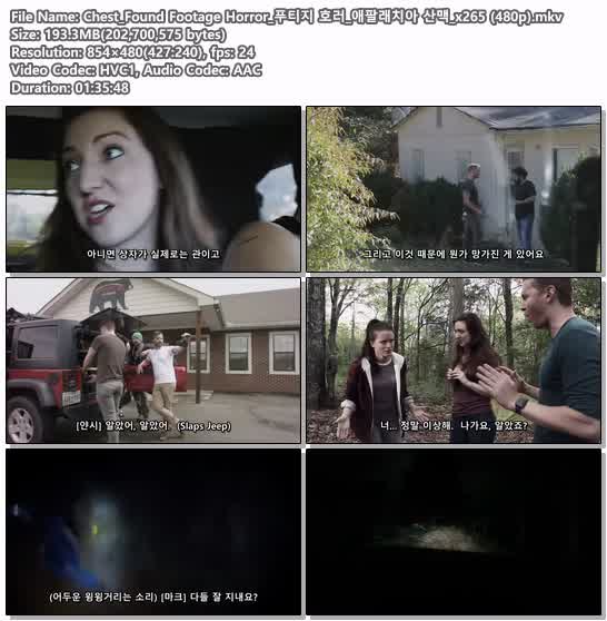 Chest_Found Footage Horror_푸티지 호러_애팔래치아 산맥_x265 (4..