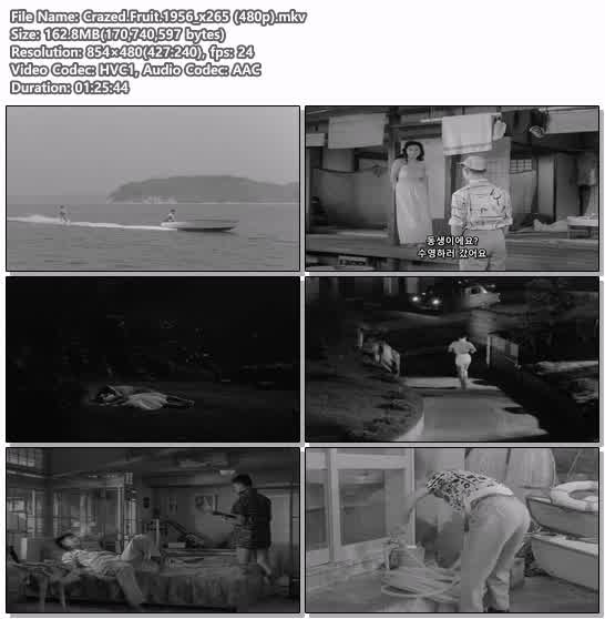 Crazed.Fruit.1956_x265 (480p)