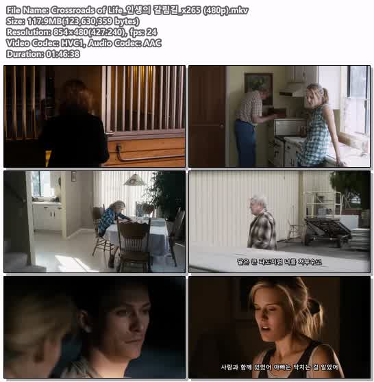 Crossroads of Life_인생의 갈림길_x265 (480p)
