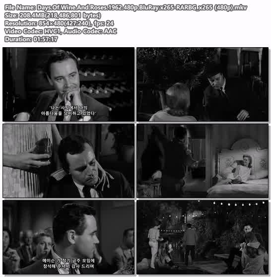 Days.Of.Wine.And.Roses.1962.480p.BluRay.x265-RARBG_x265 (480p)