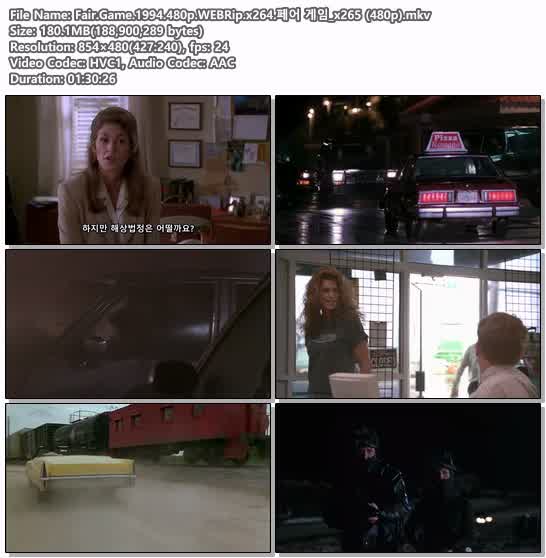 Fair.Game.1994.480p.WEBRip.x264.페어 게임_x265 (480p)