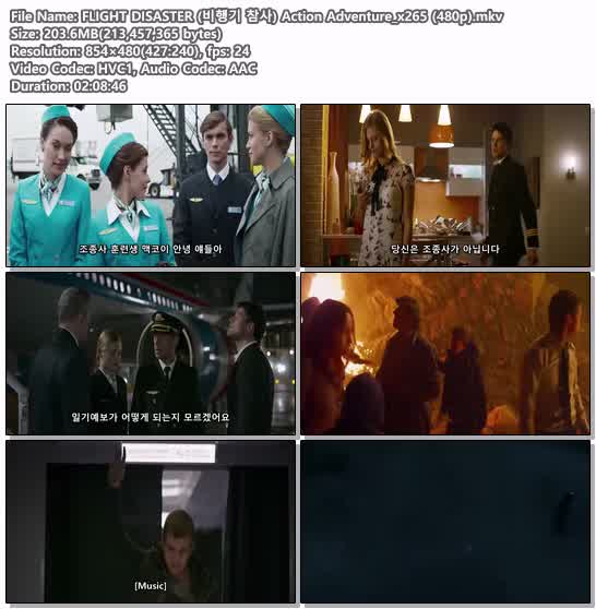 FLIGHT DISASTER (비행기 참사) Action Adventure_x265 (480p)
