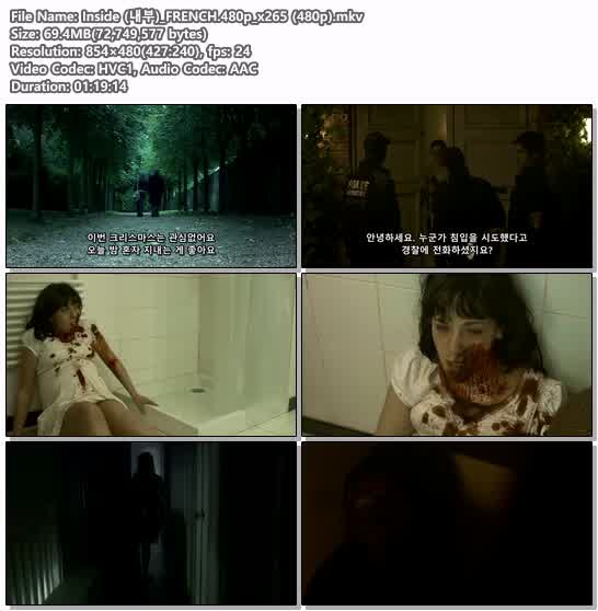 Inside (내부)_FRENCH.480p_x265 (480p)