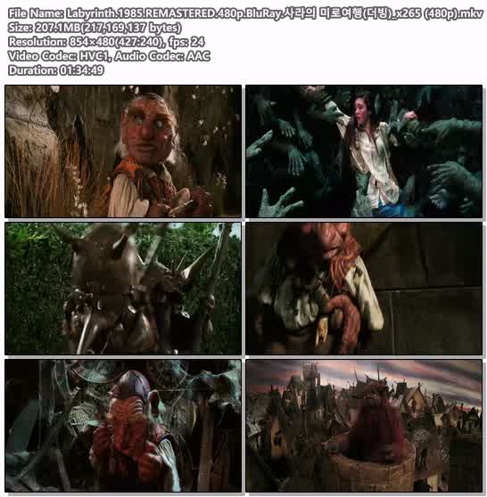 Labyrinth.1985.REMASTERED.480p.BluRay.사라의 미로여행(더빙)_x2..