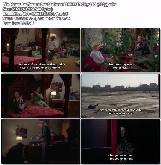 Le.Theatre.Des.Matieres.1977.FRENCH_x265 (480p)