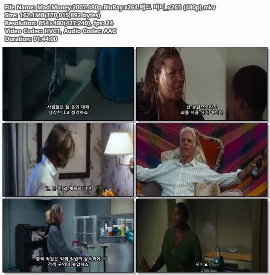 Mad.Money.2007.480p.BluRay.x264.매드 머니_x265 (480p)