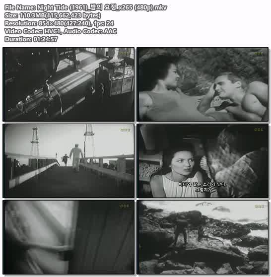 Night Tide (1961)_밤의 요정_x265 (480p)