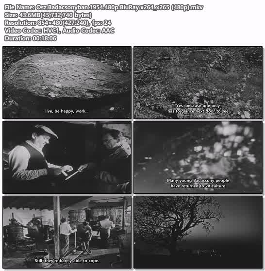Osz.Badacsonyban.1954.480p.BluRay.x264_x265 (480p)