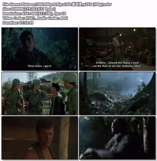 Platoon.1986.480p.BrRip.x264.플래툰_x265 (480p)