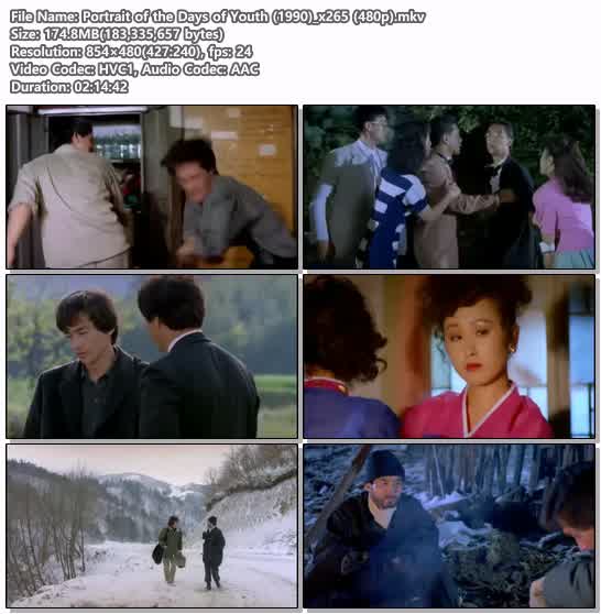 Portrait of the Days of Youth (1990)_x265 (480p)