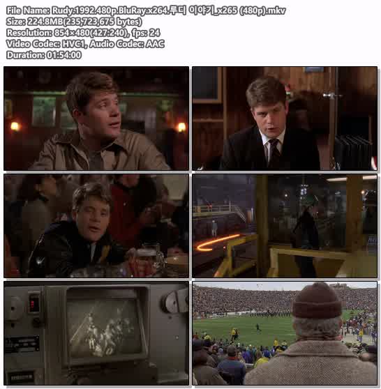 Rudy.1992.480p.BluRay.x264.루디 이야기_x265 (480p)