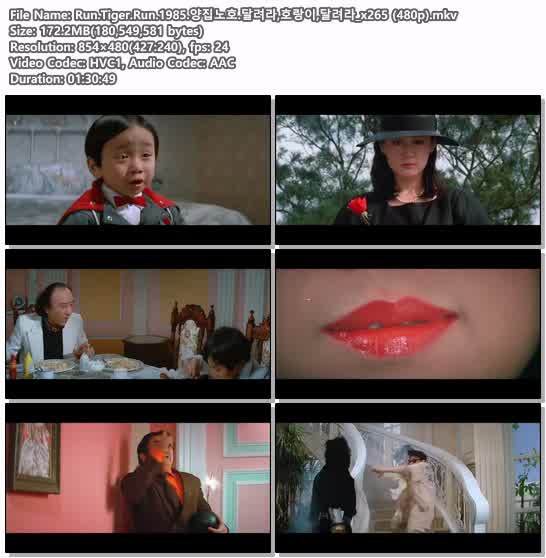 Run.Tiger.Run.1985.양집노호.달려라,호랑이,달려라_x265 (480p)