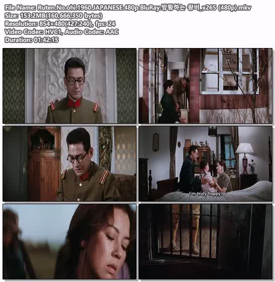 Ruten.No.ohi.1960.JAPANESE.480p.BluRay.방황하는 왕비_x265 (480p)