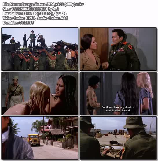 Savage.Sisters.1974_x265 (480p)