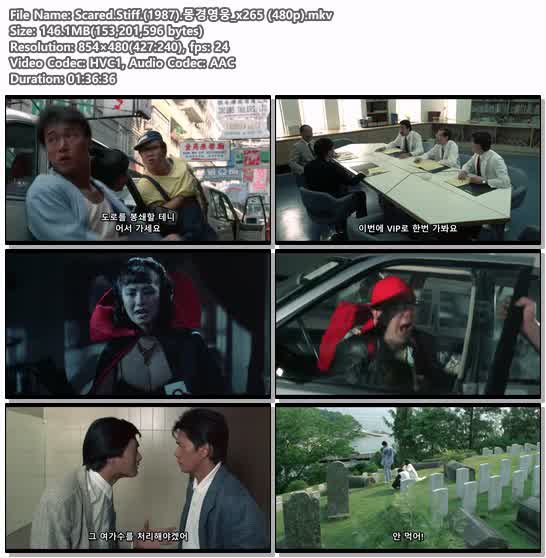 Scared.Stiff.(1987).몽경영웅_x265 (480p)