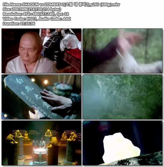 SHAOLIN vs ZOMBIES 2(소림 대 좀비2)_x265 (480p)